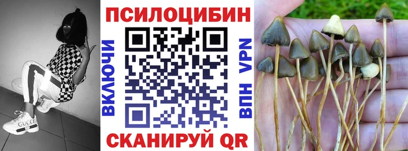 Купить закладки  Боровичи  Псилоцибиновые грибы MAGIC MUSHROOMS 