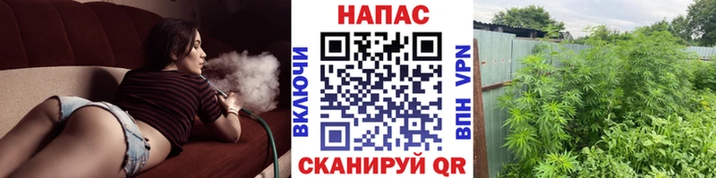 Купить закладки Боровичи Шишки марихуана White Widow